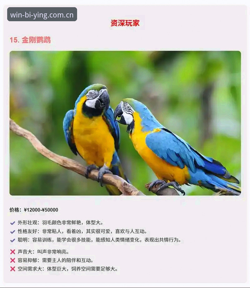 资深用户亲述：必赢独立定位版赛事数据如何帮我告别选择困难